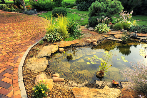 bassin de jardin