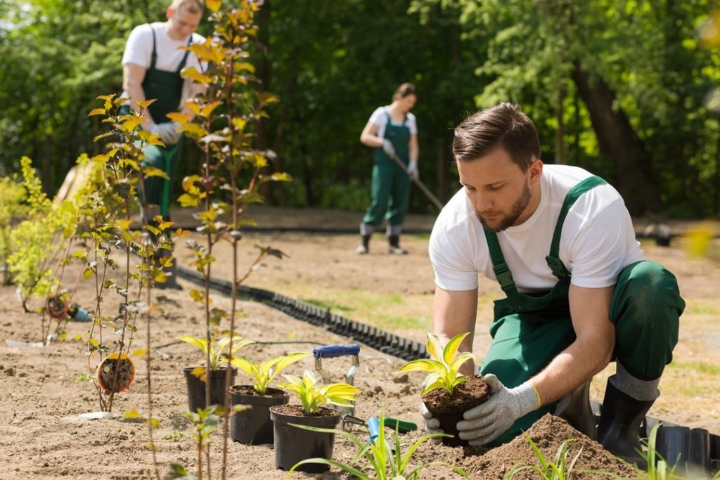 Aménager son jardin : faut-il faire appel à un jardinier ou un paysagiste